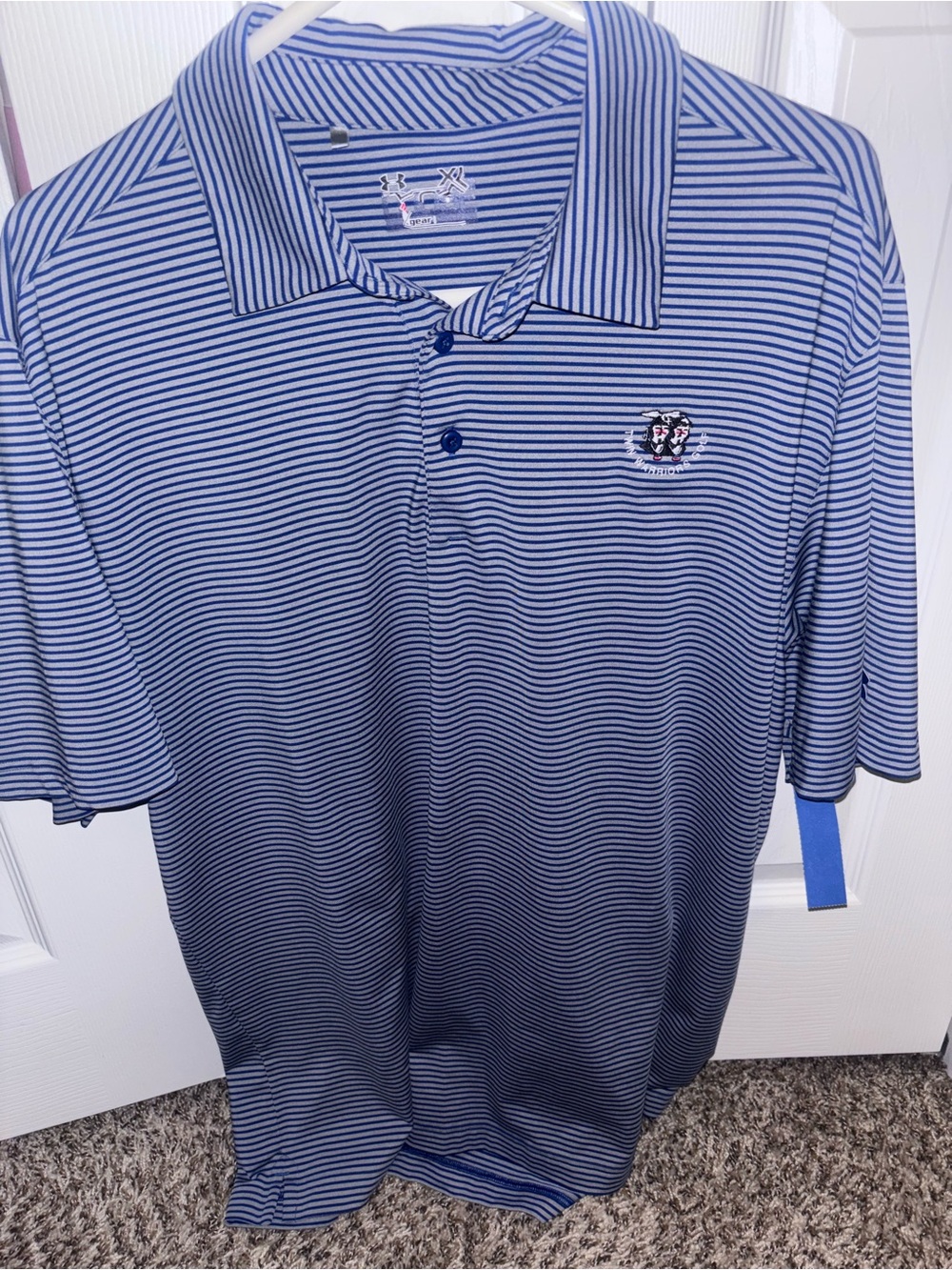 Men's Blue Striped Polo Shirt